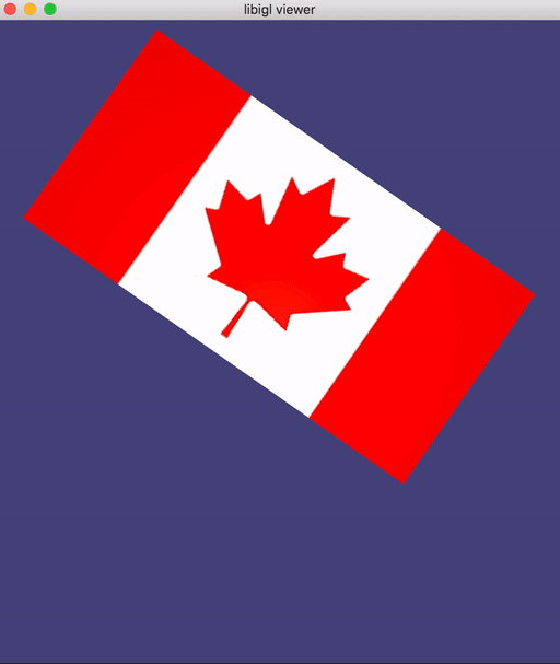 Flag simulation showing cloth dynamics with mass-spring system